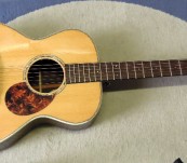 Breedlove OM American Style