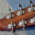 Breedlove OM American Style